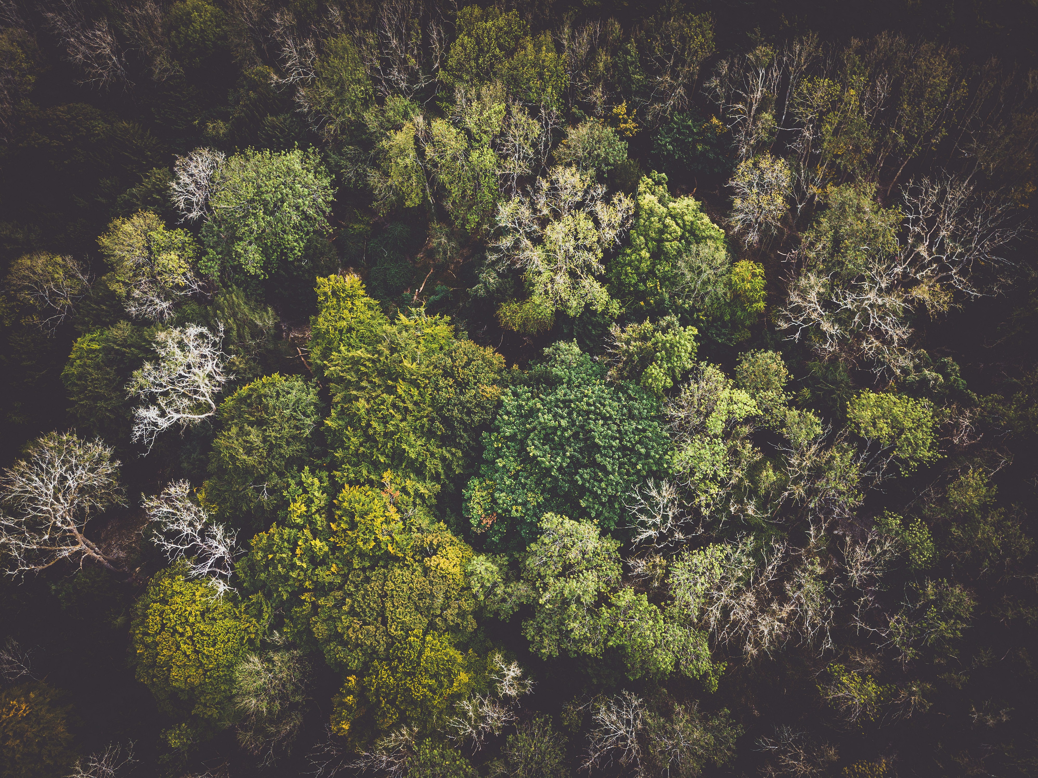 Environment Image